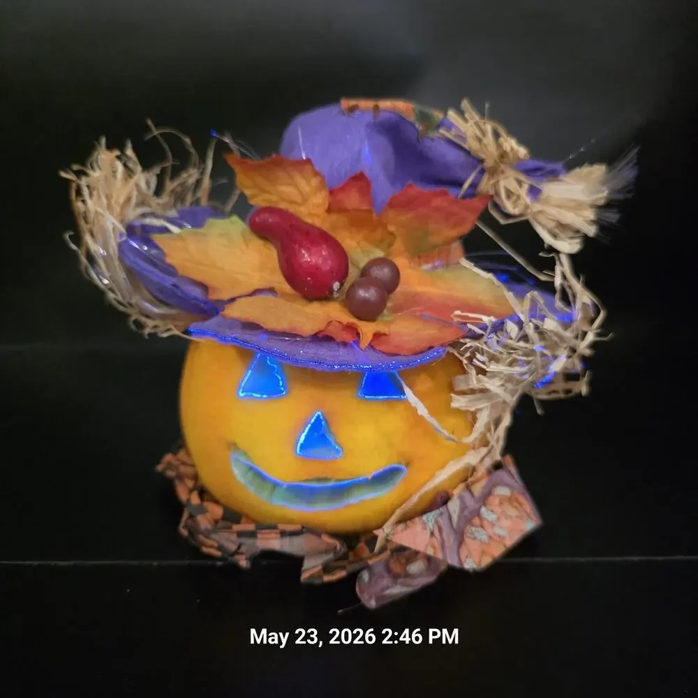 3pc Fiber Optic Halloween Pumpkin Black Cat 8